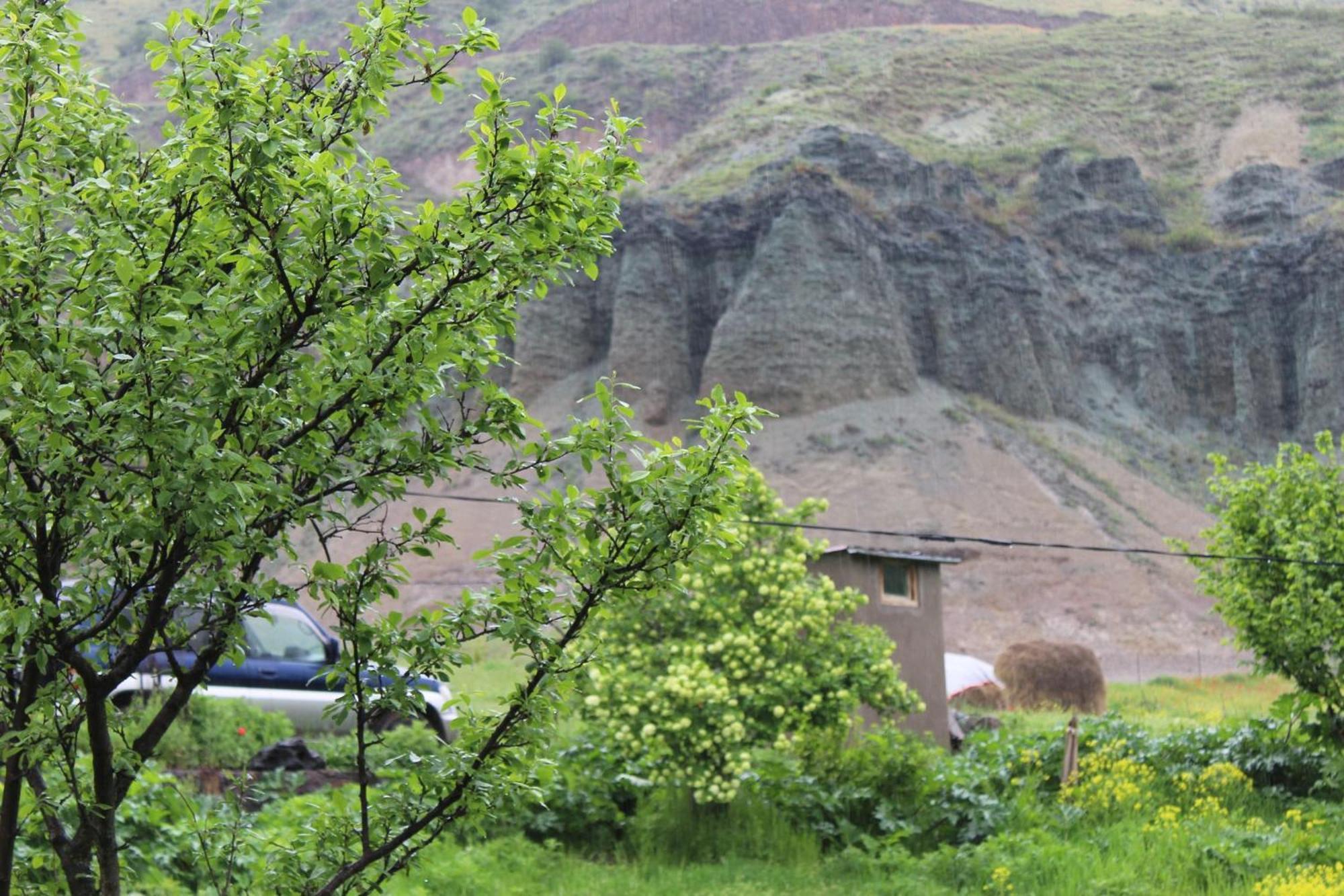 Tirebi Farmhouse Вардзіа Екстер'єр фото